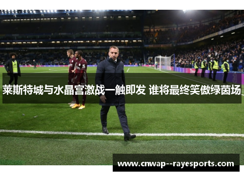 莱斯特城与水晶宫激战一触即发 谁将最终笑傲绿茵场