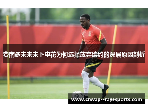 费南多未来未卜申花为何选择放弃续约的深层原因剖析