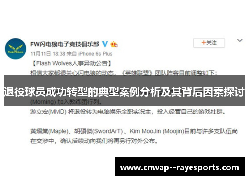 退役球员成功转型的典型案例分析及其背后因素探讨